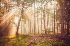 其品牌将传统铜艺与现代