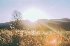 既有传统文化的厚重感