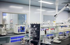 拥有多名博士、硕士、学