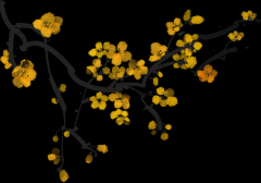 “故事话中国”绘本打卡